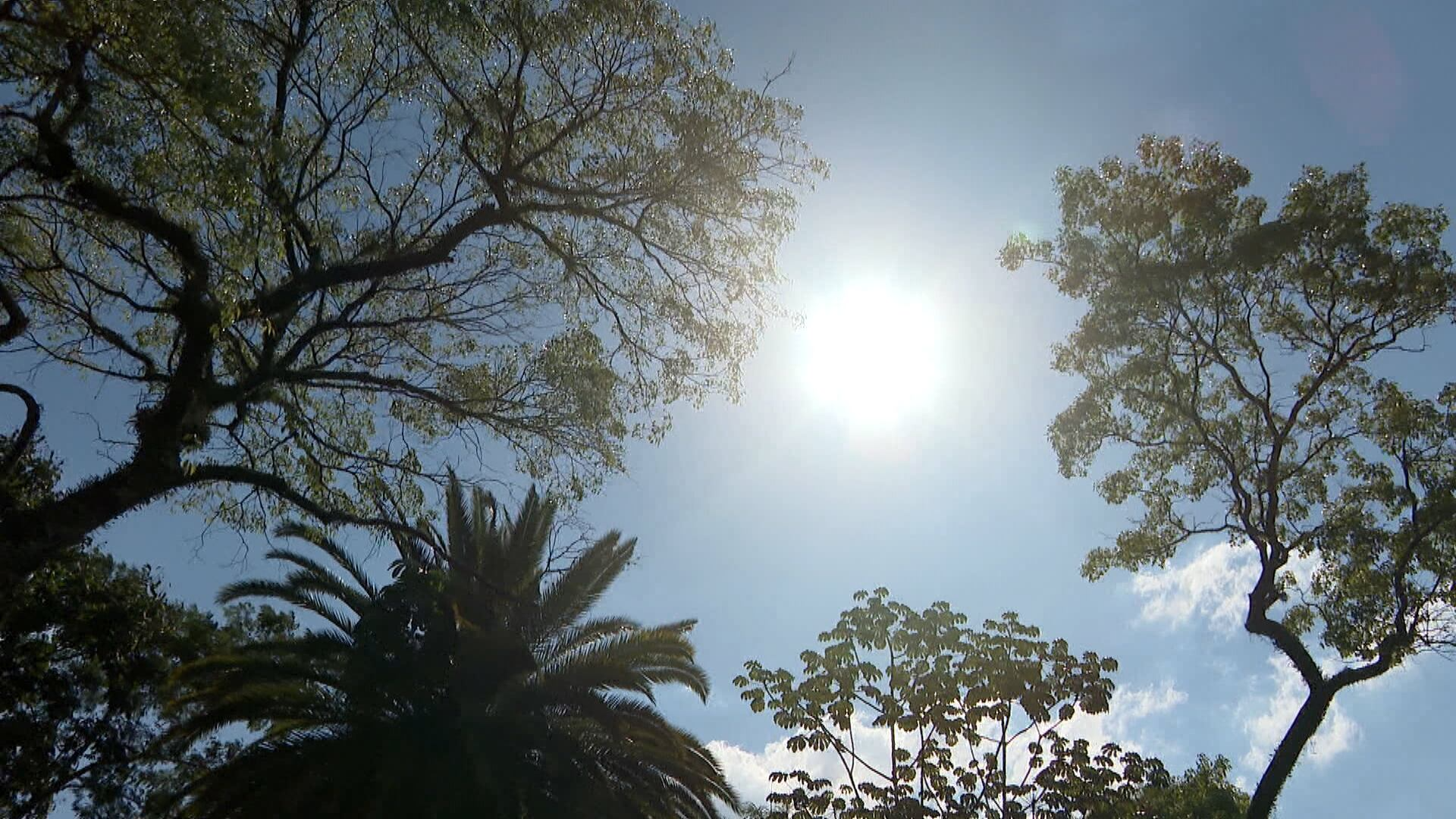 Ferramenta permite rastreamento de investimentos ambientais