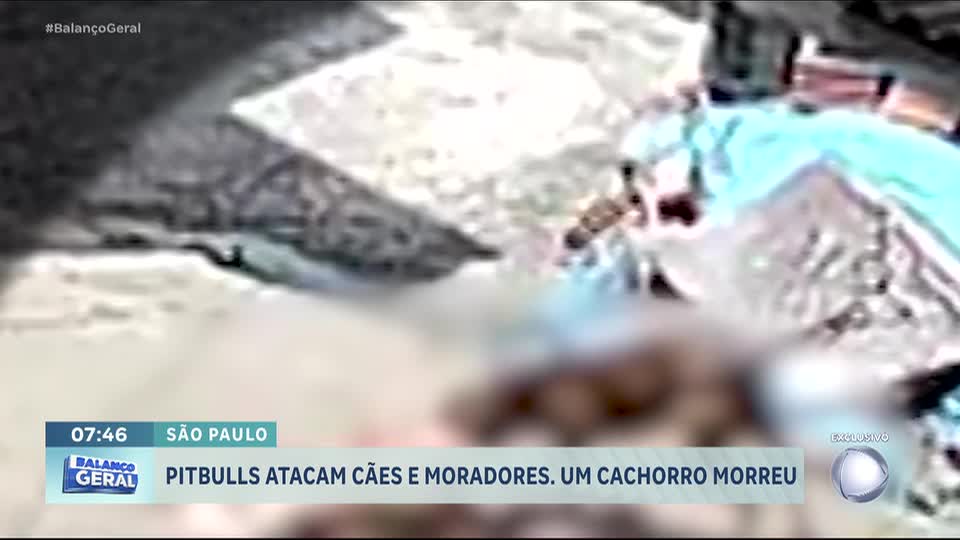 Ataques de pitbulls amedrontam moradores de bairro de Francisco Morato (SP)