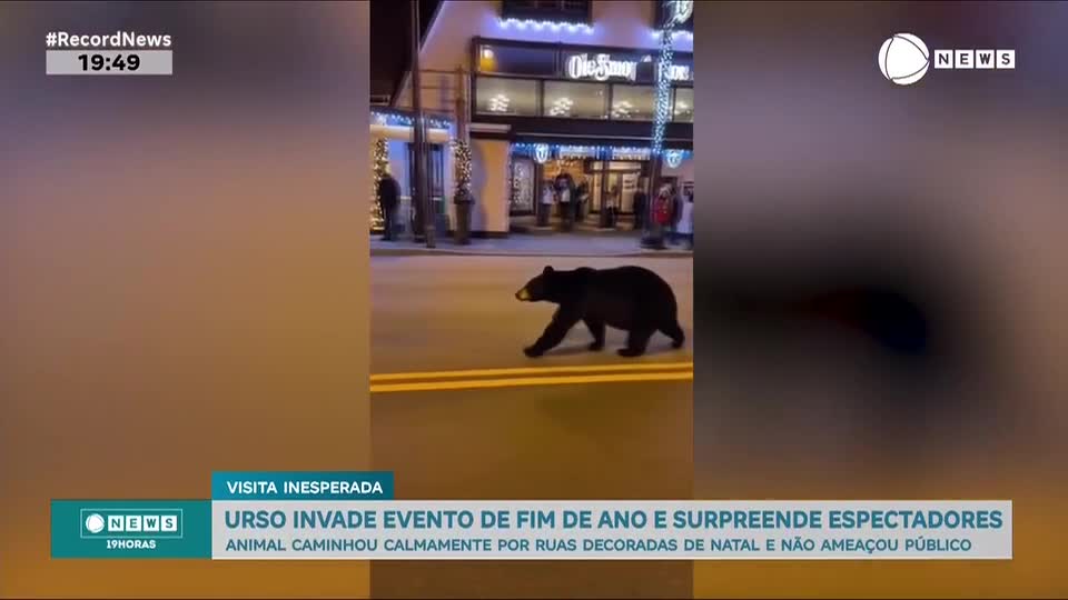 Urso aparece em comemoração de Natal no Tennessee, EUA