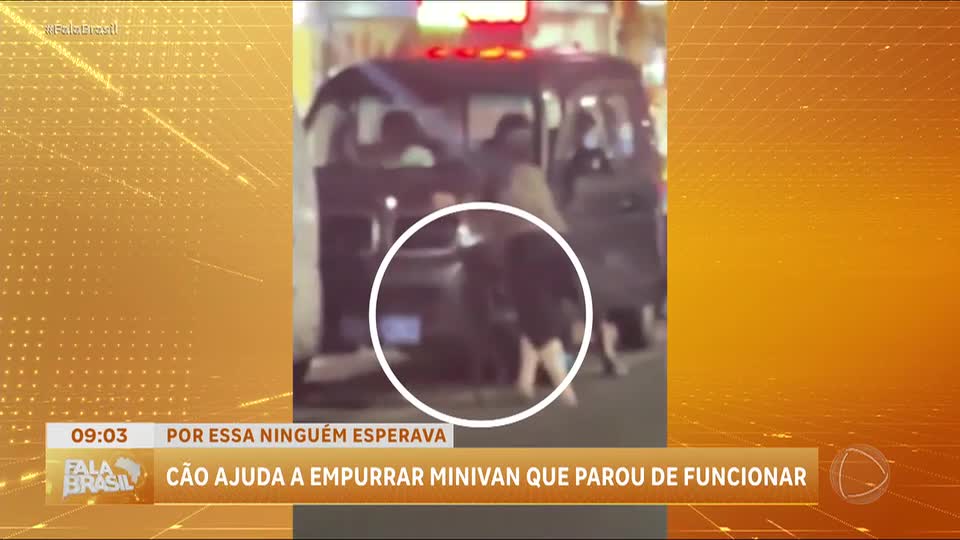 Cachorro ajuda tutora a empurrar carro na China e vídeo viraliza