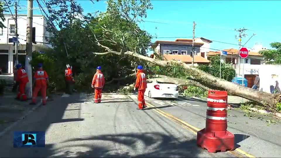 Ventania: SP amanhece com árvores caídas, semáforos apagados e milhares de imóveis sem luz