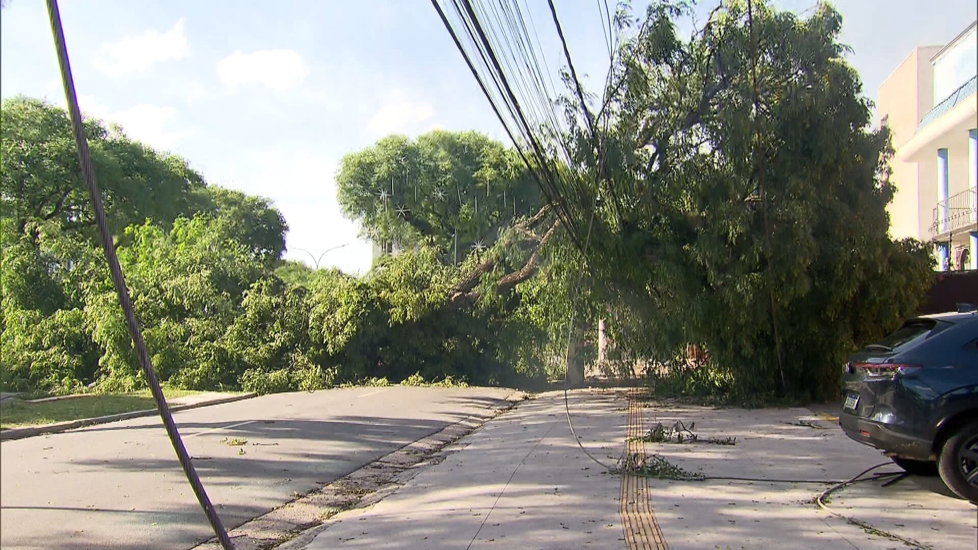 Veja as orientações da Defesa Civil para a Grande SP nesta quinta (11)