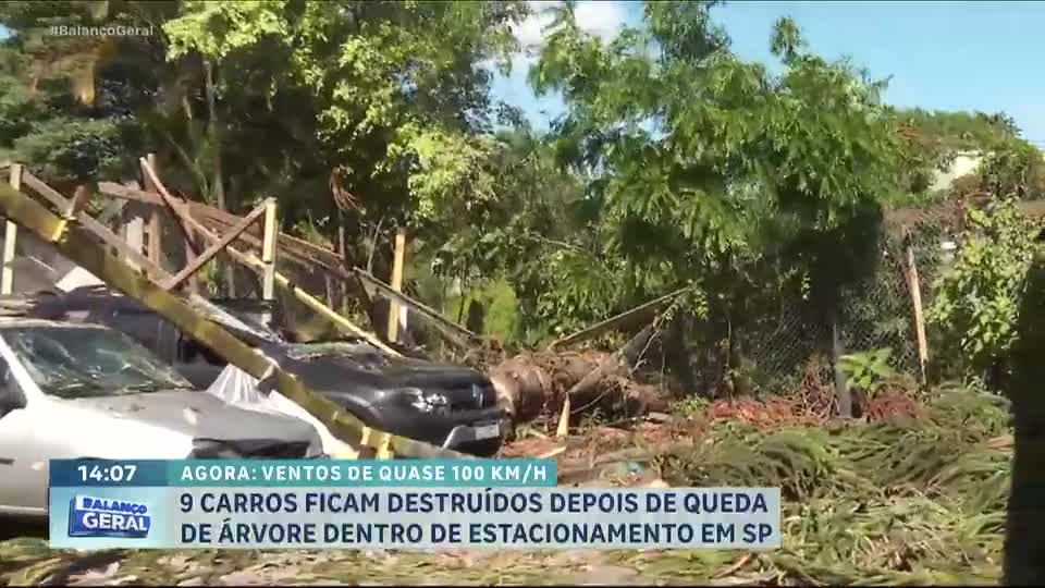 Ventos de quase 100 km/h causam estragos em toda a Grande São Paulo