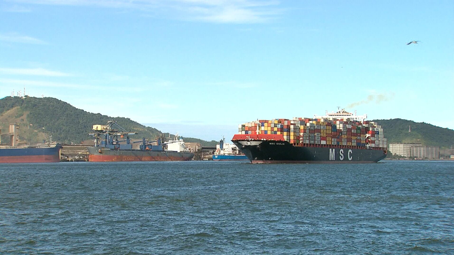 Brasil ultrapassa US$ 14 bilhões em vendas externas de carne bovina