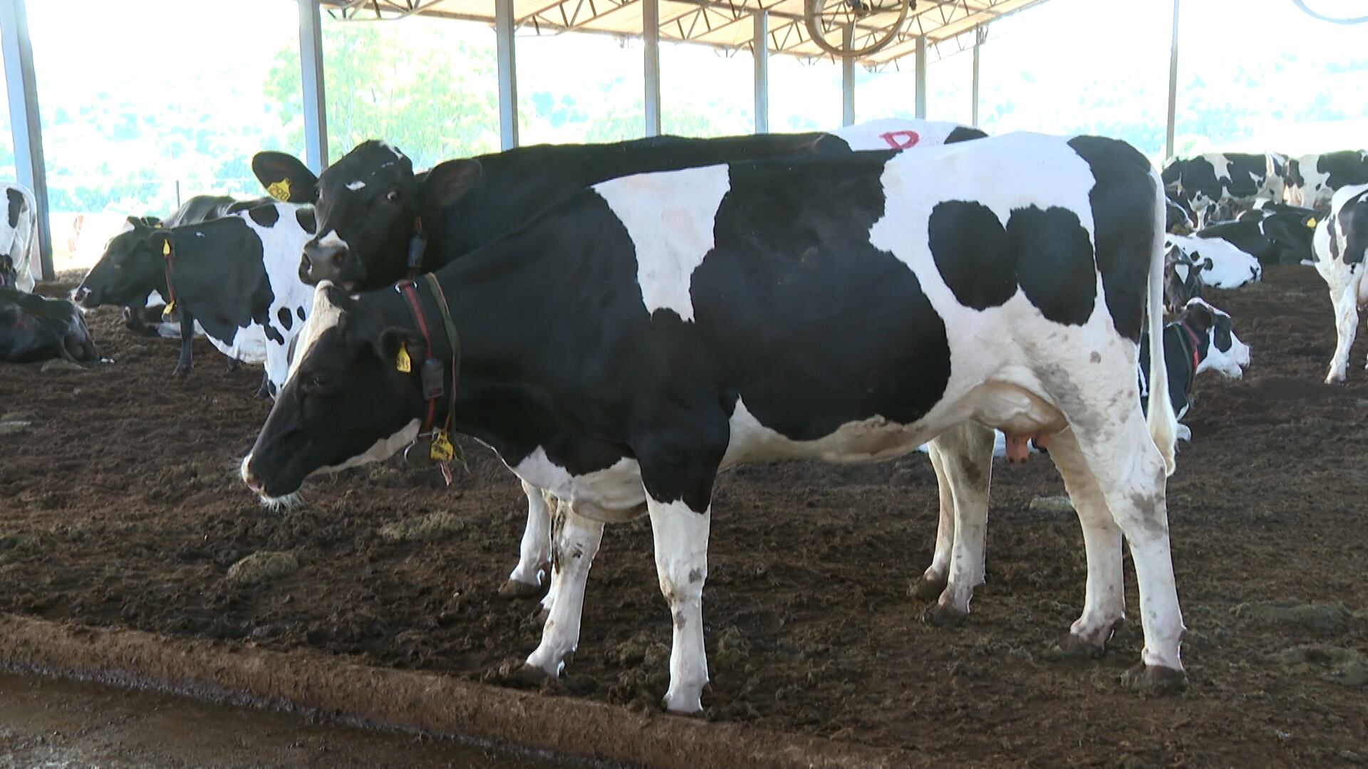 Investimento em tecnologia melhora a produtividade no campo