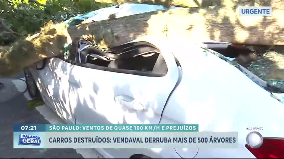 Queda de árvore destrói carro na zona sul de São Paulo
