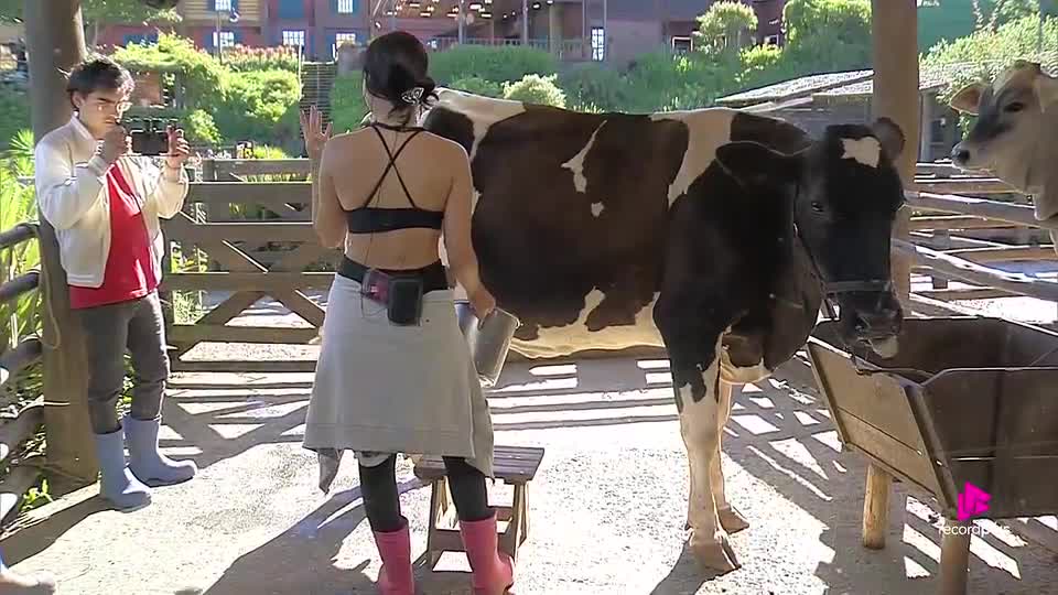 Duda fica incomodada com presença de Dudu durante a ordenha: 'Vai lá filmar a Kathy' | A Fazenda 17