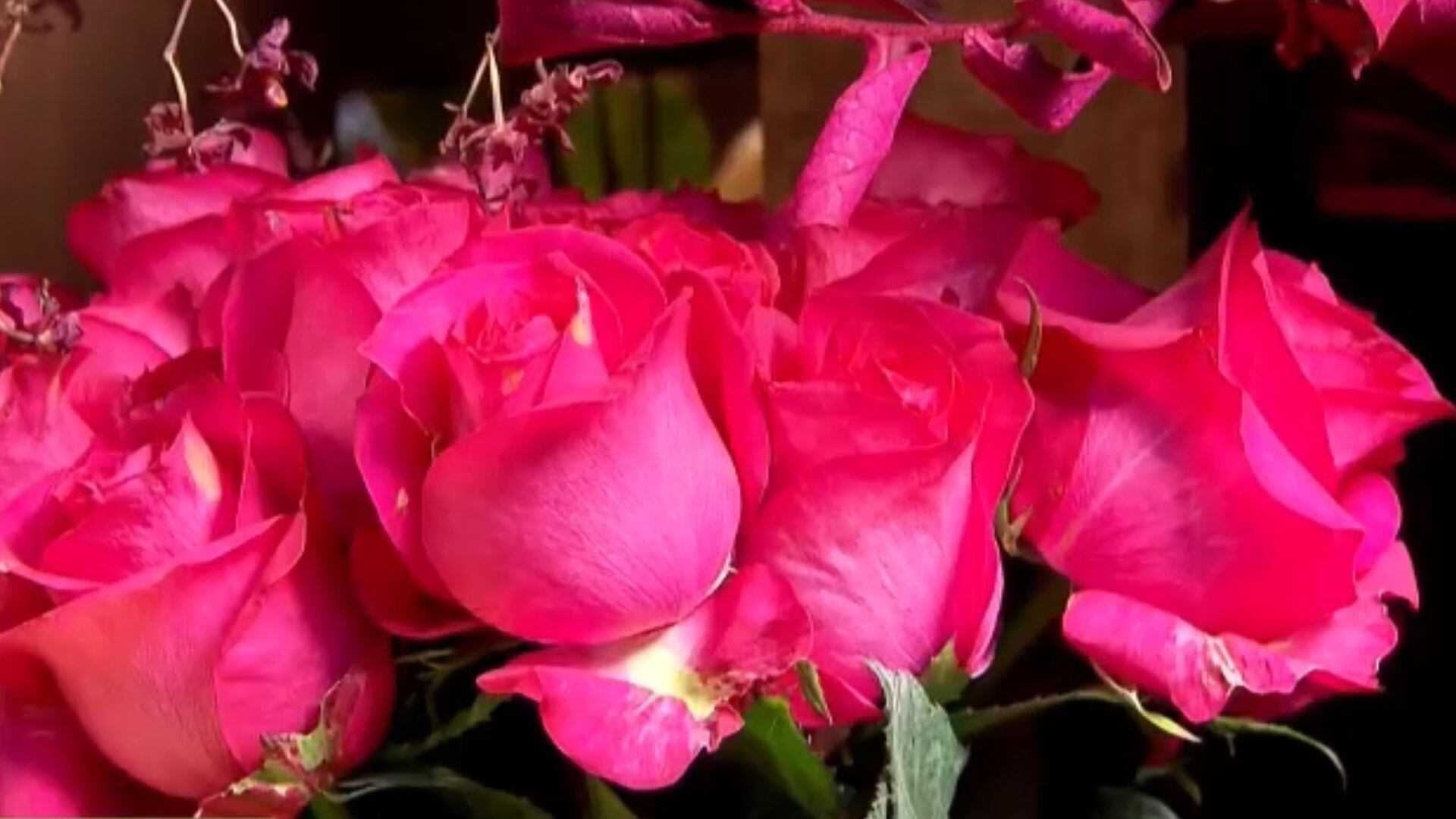 Setor de flores estima alta nas vendas em 2026