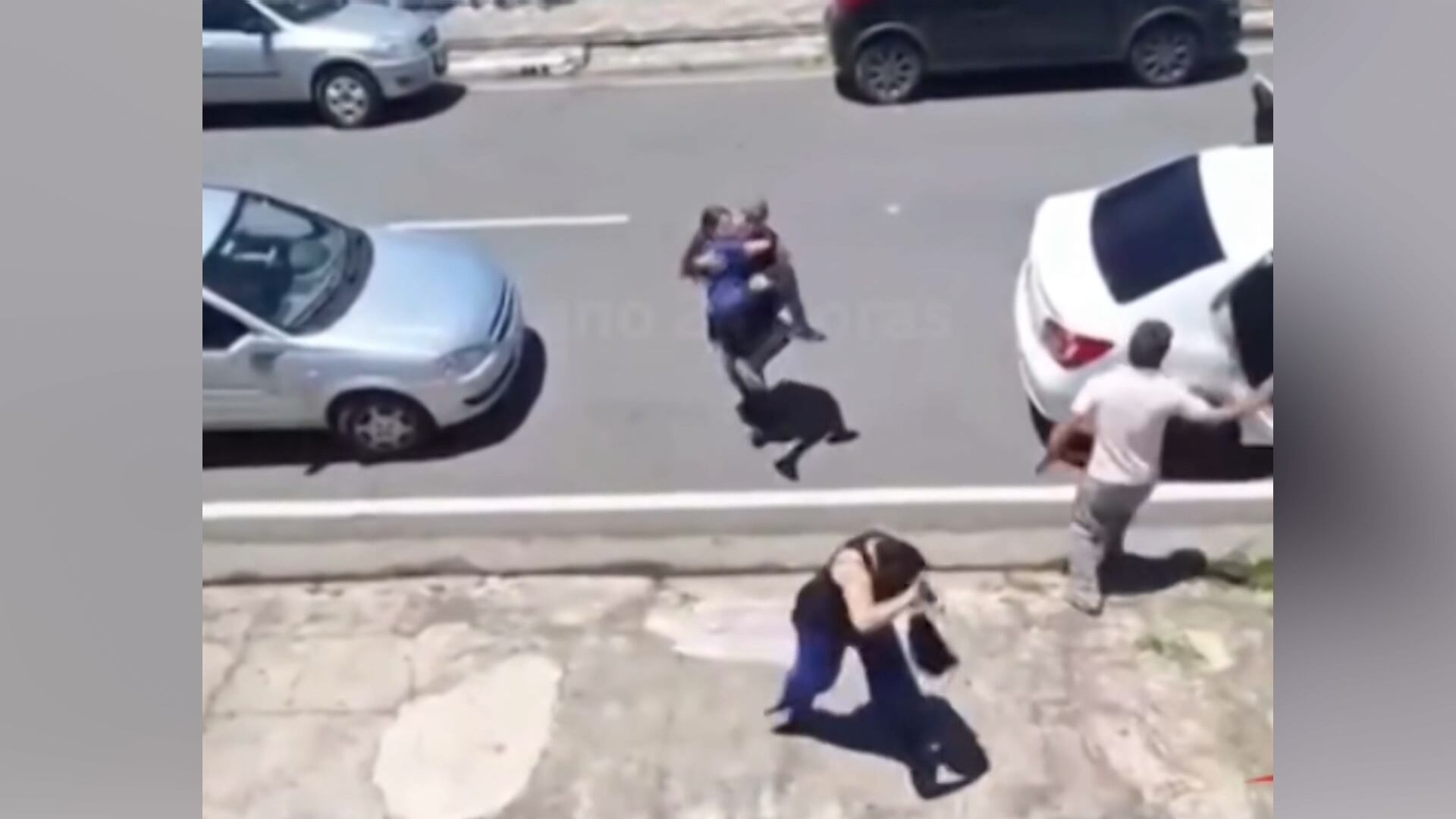 Vídeo: enxame de abelhas ataca mulher e criança dentro de carro em Suzano (SP)