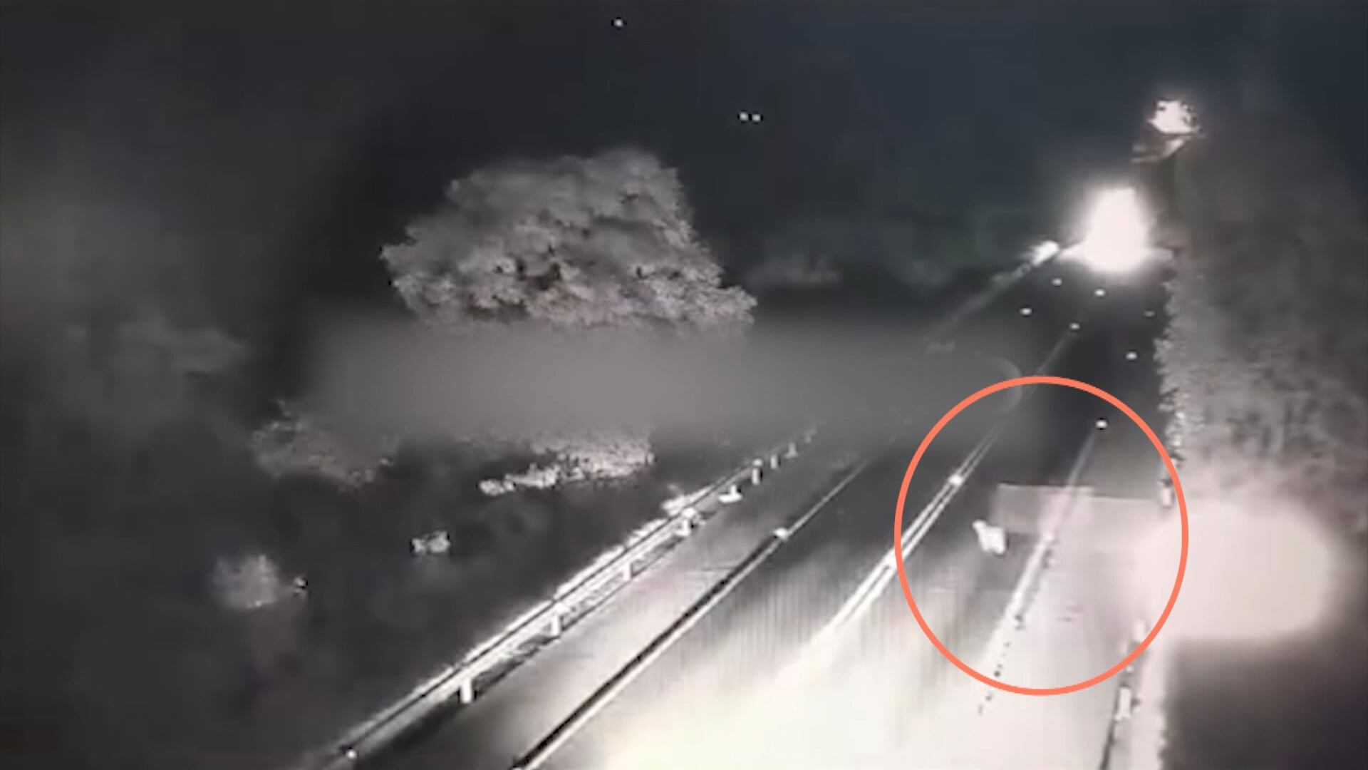 Carro atinge carreta ao tentar desviar de Capivara