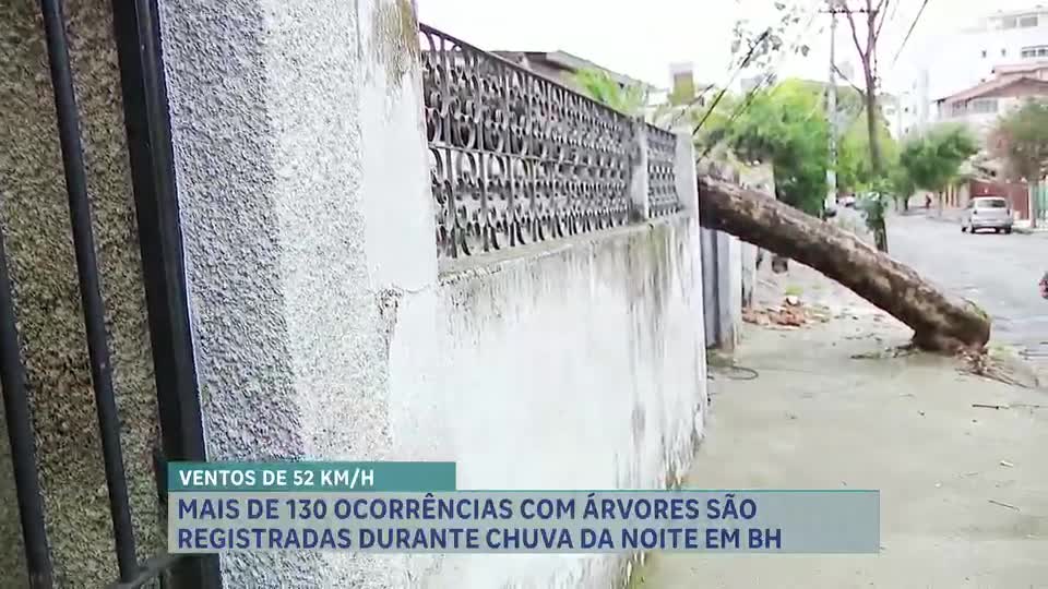 Tempestade causa destruição na Pampulha e Região Metropolitana de BH