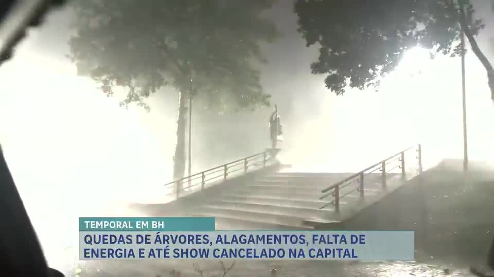 Temporal causa queda de árvores e alagamentos em Belo Horizonte