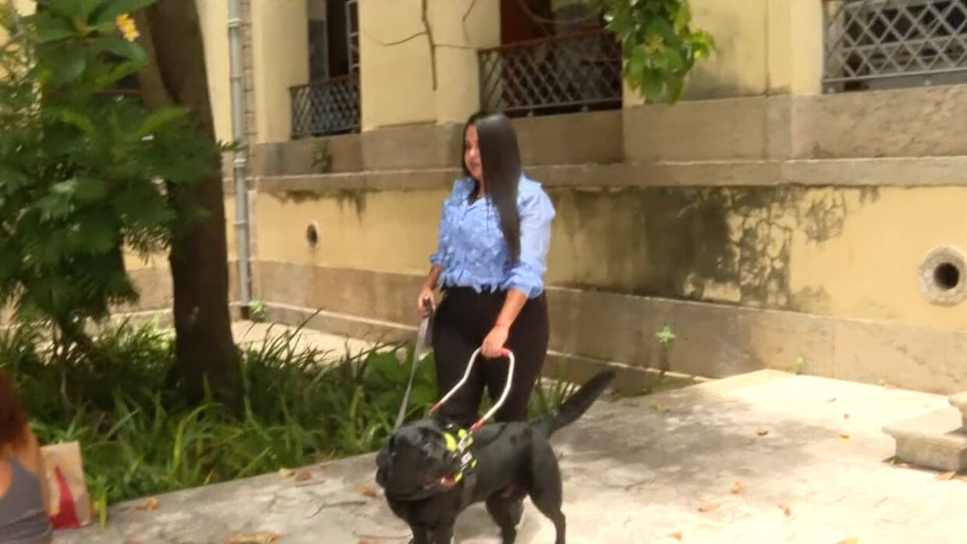 Estudante cega realiza sonho e conquista cão-guia treinado por instituto no Rio de Janeiro