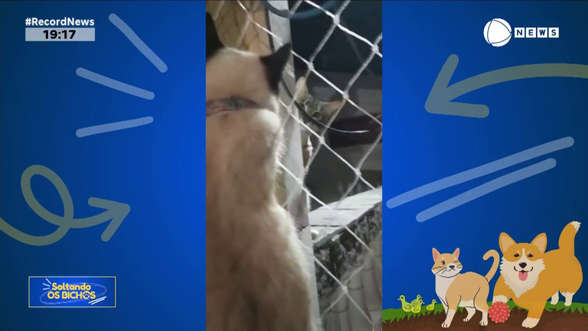 Confira a íntegra do 'Soltando os Bichos' deste domingo (14)