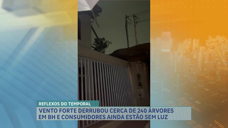 Temporal causa queda de árvores e falta de energia em Belo Horizonte