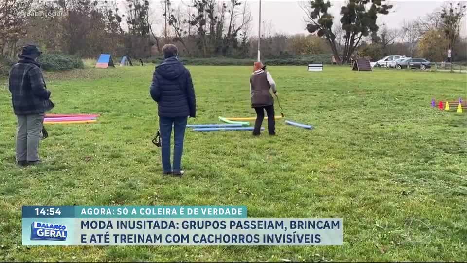 ‘Hobby dogging’: prática de passear com cães imaginários vira tendência na Alemanha