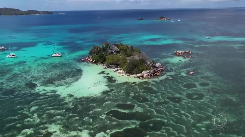 50 por 1: Álvaro Garnero explora as ilhas Seychelles e apresenta a maior semente do mundo