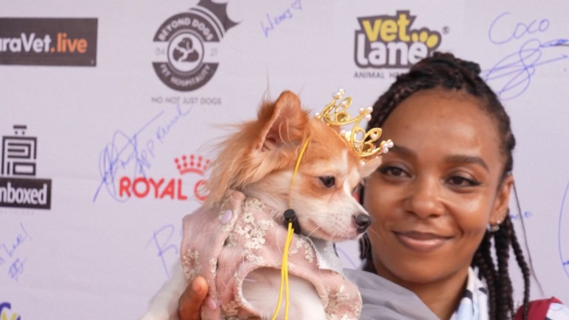 Cães desfilam como realeza em carnaval nigeriano