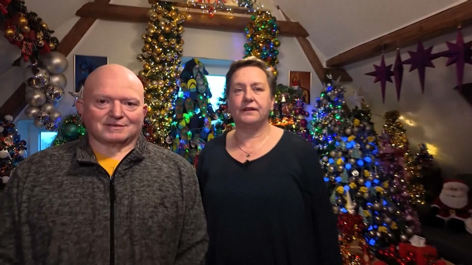 Familia monta e espalha 621 árvores de Natal em casa