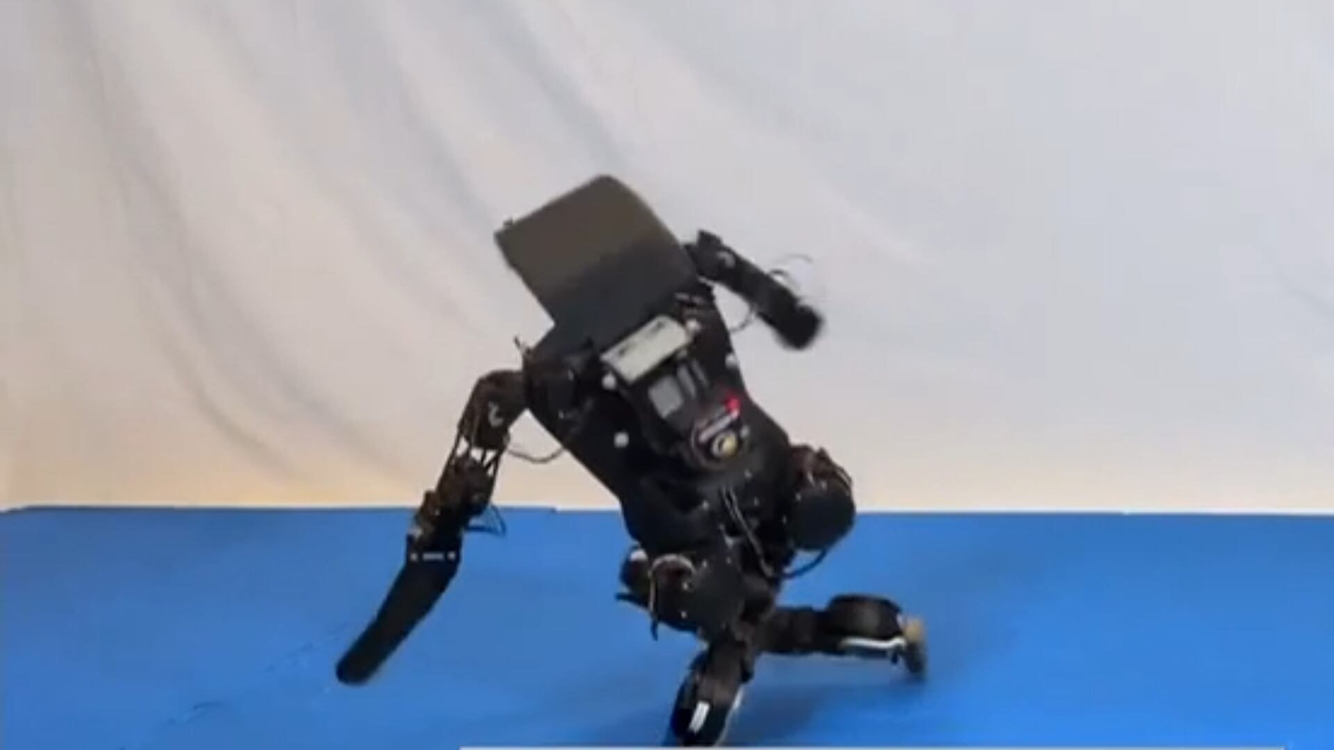 Robôs bípedes são ensinados a se desequilibrar com estilo