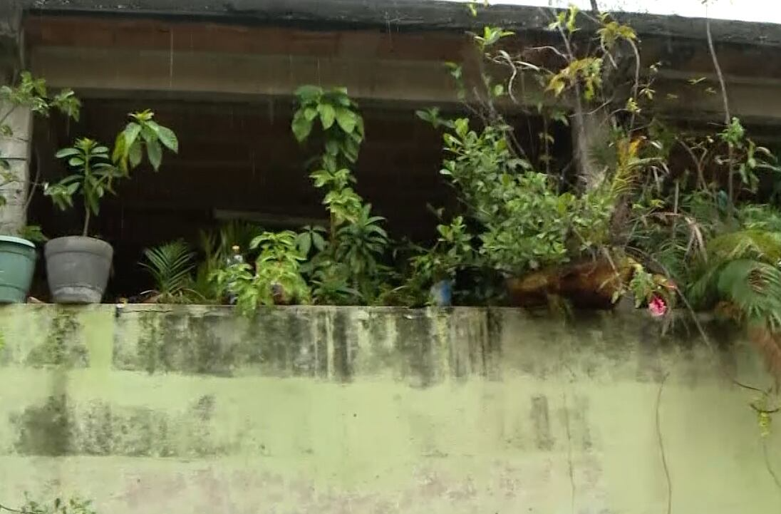 Tragédia familiar: adolescente alega legítima defesa após matar pai a facadas no RJ