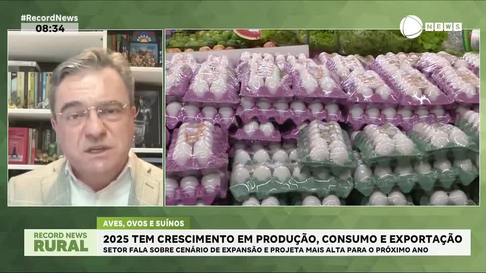 Aves, ovos e suínos: Brasil tem crescimento em produção, consumo e exportação em 2025