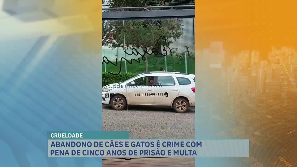 Casos de abandono de animais levantam preocupações na região Noroeste de BH