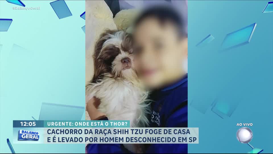 Família busca cachorro desaparecido há 12 dias em São Paulo