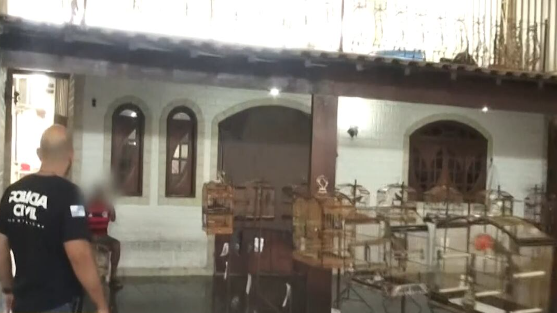 Polícia Civil desmantela campeonato irregular de pássaros em Nova Iguaçu (RJ)