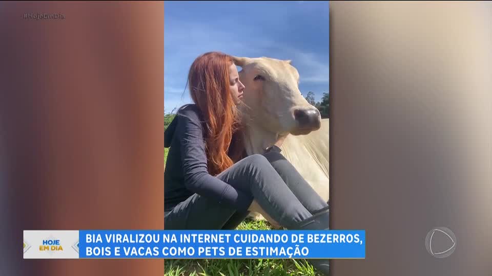 Garota viraliza ao transformar bois e bezerros em animais de estimação