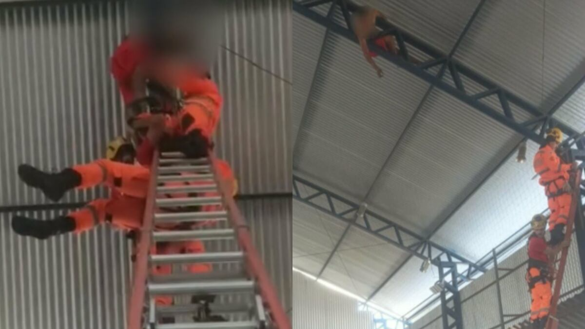 Bombeiros resgatam homem preso no telhado de ginásio poliesportivo em Minas Gerais