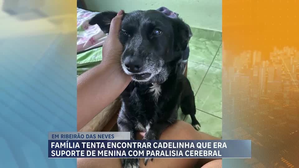 Família tenta encontrar cadelinha que era suporte de uma menina com paralisia cerebral na Grande BH