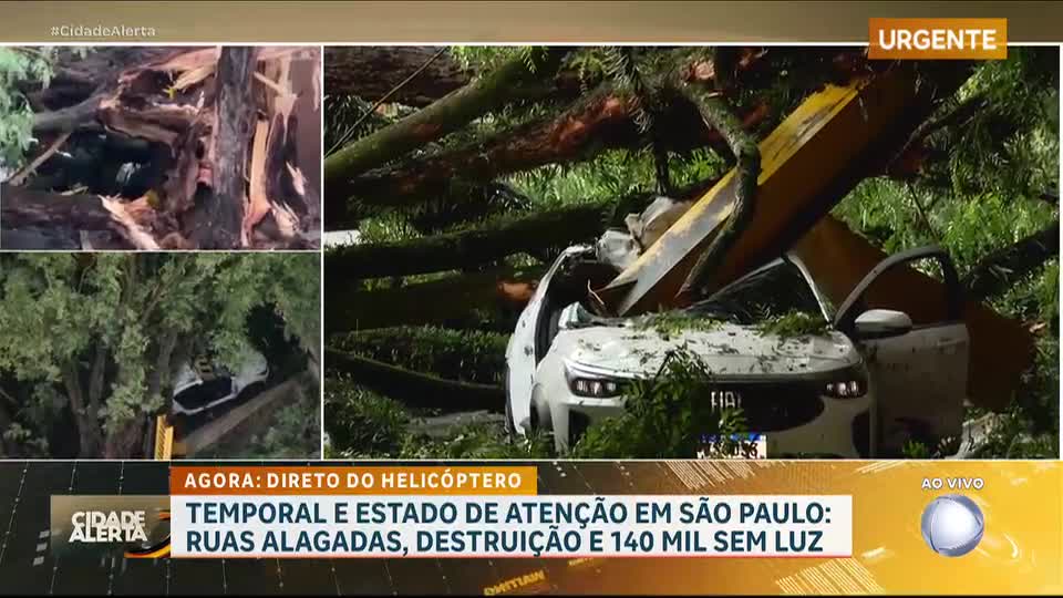 Temporal em SP: árvore cai sobre carro e deixa motorista gravemente ferido