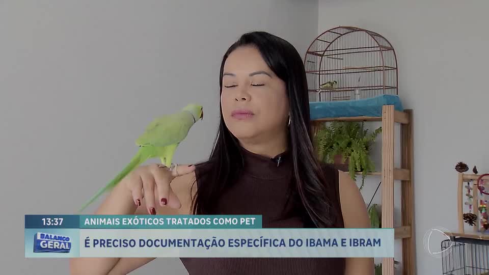 Animais exóticos tratados como pet: é preciso documentação específica do Ibama e Ibram