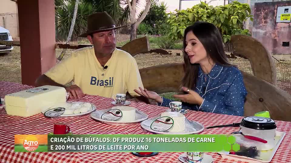 Retrospectiva 2025: produção de búfalos ganha espaço no DF