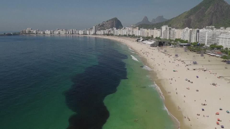 Milhões de anchovas criam espetáculo raro no litoral do Rio de Janeiro