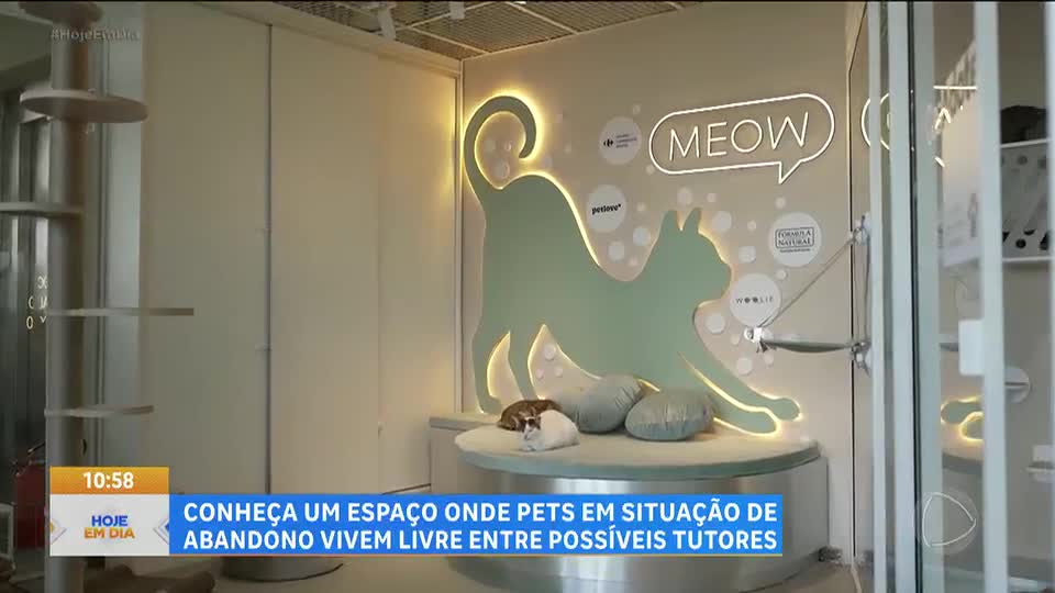 Julinho Casares visita ONG em São Paulo que criou novo conceito de adoção responsável