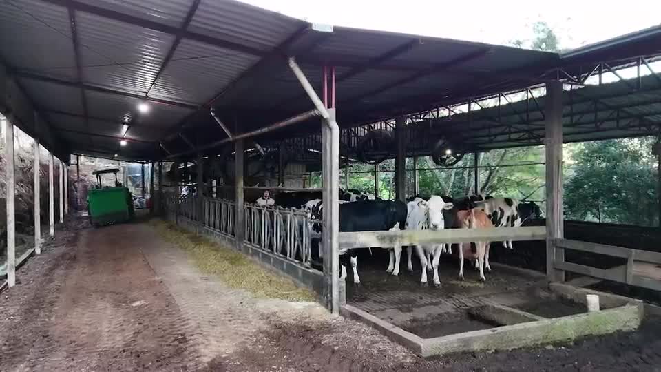 ONU classifica 2025 como o Ano Internacional das Cooperativas