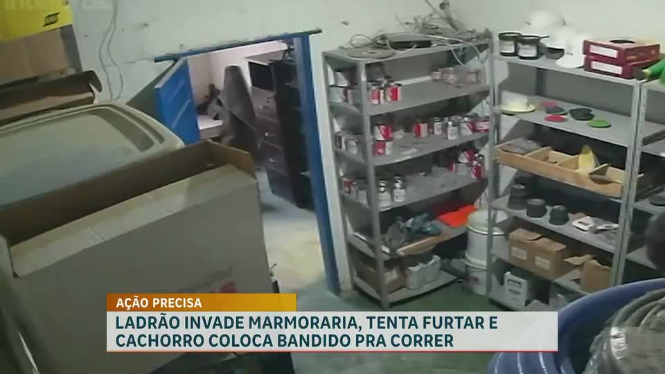 Cachorro impede furto em marmoraria de Belo Horizonte